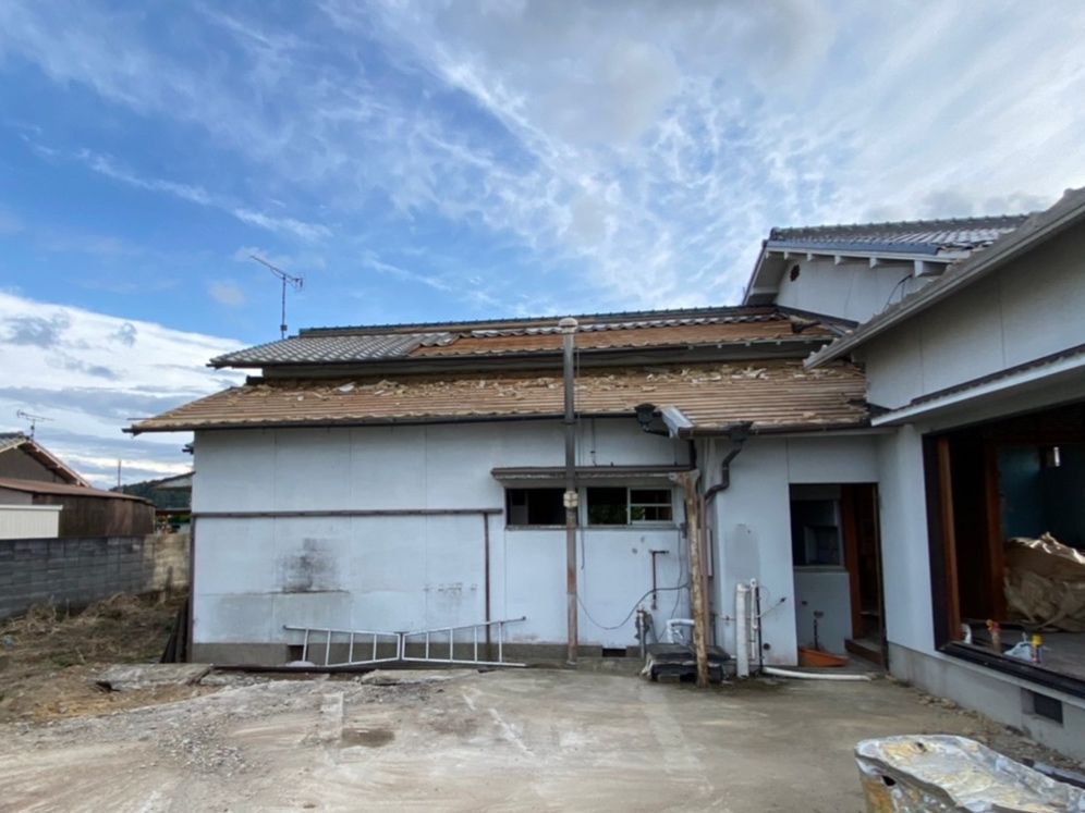 IMG_0156_kodera.jpg