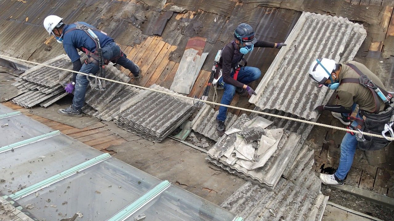 sikata_210616_68.jpg