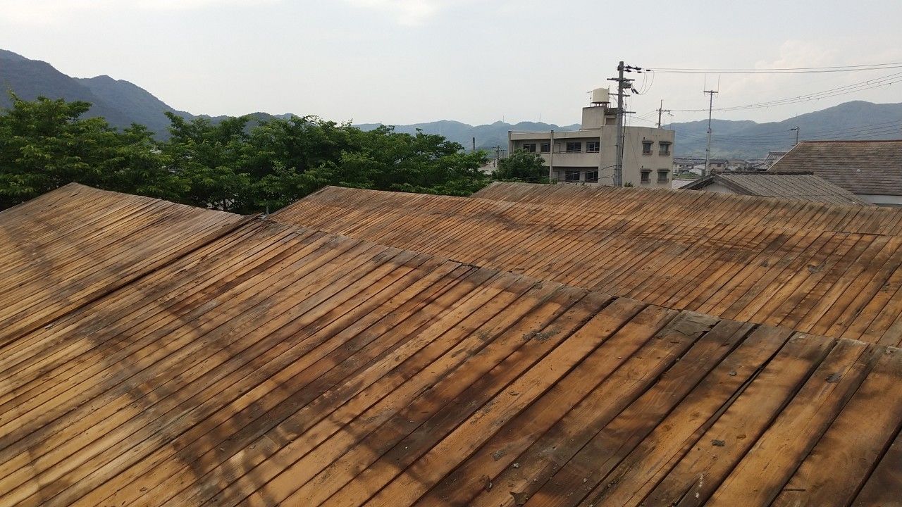 sikata_210616_80.jpg