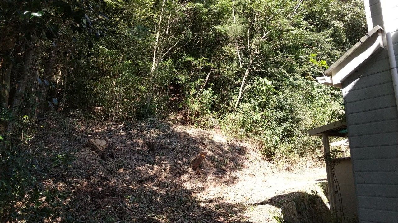 kobebassai_211019_10.jpg